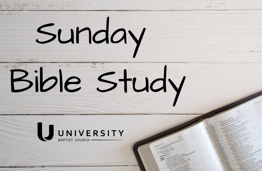 Sunday Morning Bible Study | Adults 